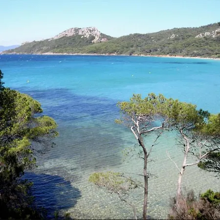 公寓 Superbe T2 Proche Des Plages Et Des Commerces 耶尔